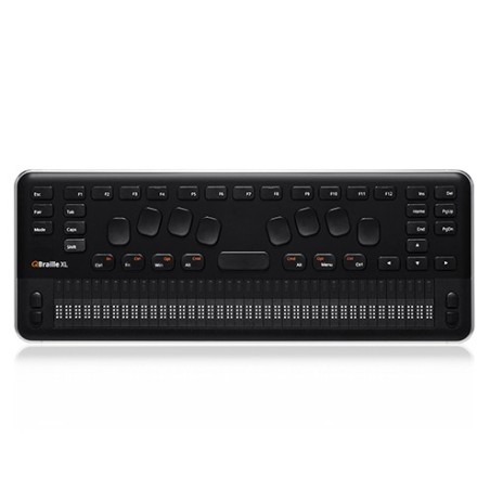 QBraille XL