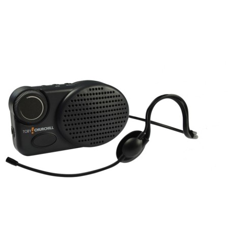Micro Voice AMP