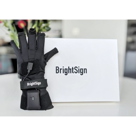 BrightSign scatolo