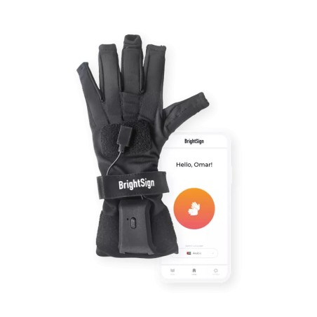 BrighSign App
