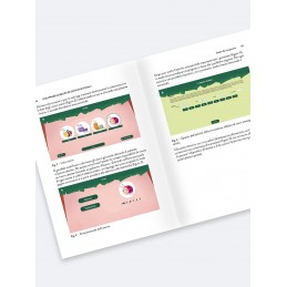 Sviluppare le abilità di letto-scrittura 2 (KIT: Libro + Web App)
