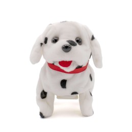 Piccolo Dalmata - MondoAusili.it