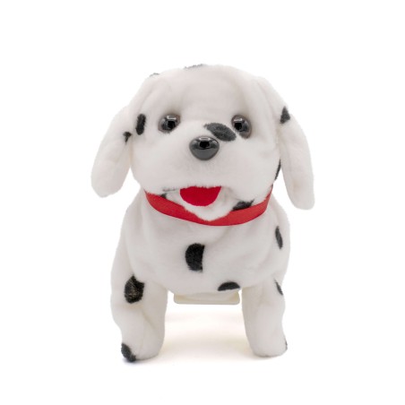 Piccolo Dalmata - MondoAusili.it
