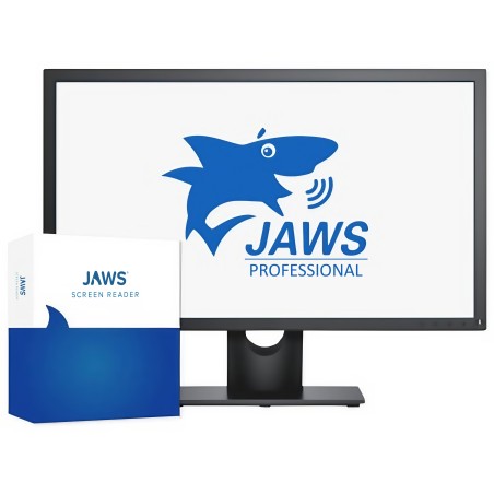 Jaws Screen Reader Professional 22.39.07.003 - Sintetizzatore di voce