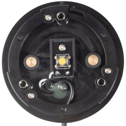 Buddy Button IC