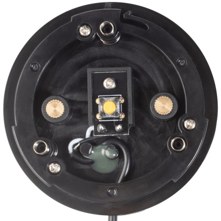 Buddy Button IC