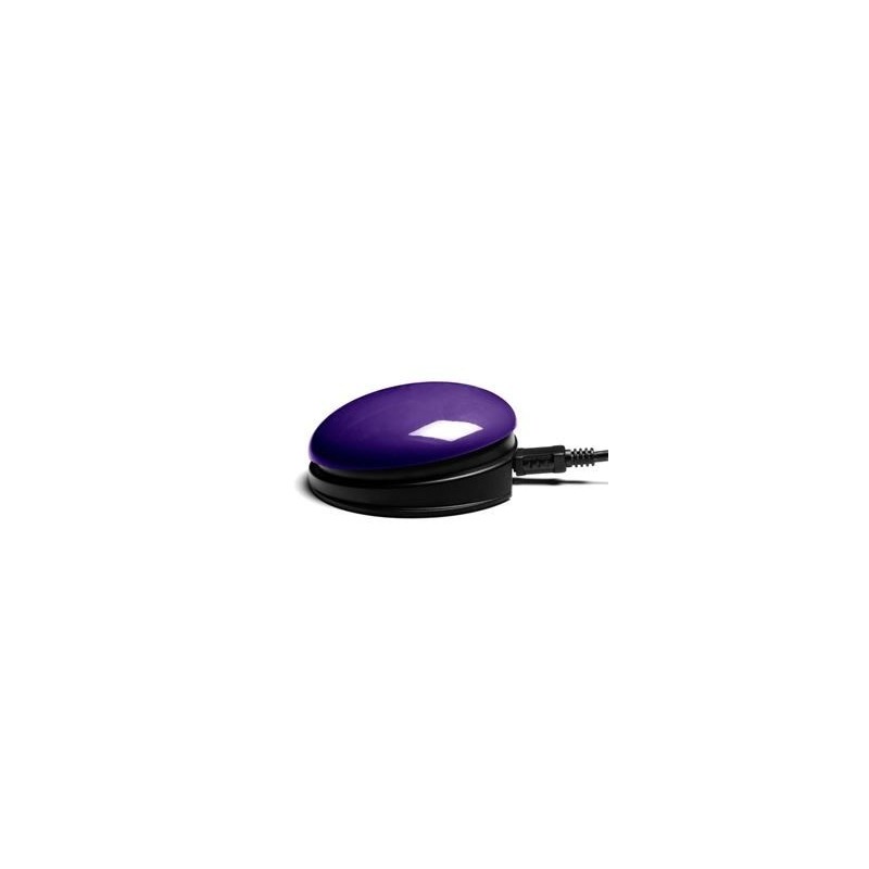 USB Switch Purple
