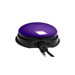 USB Switch Purple