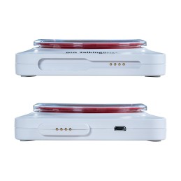 BIG Talking Brix - 22.21.09.015 - COMUNICATORE SIMBOLICO DI BASE