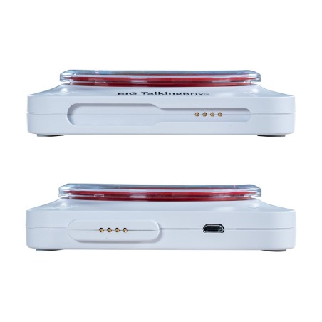 BIG Talking Brix - 22.21.09.015 - COMUNICATORE SIMBOLICO DI BASE