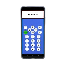 Audiophone - 22.24.03.006 - Telefono ad accesso facilitato
