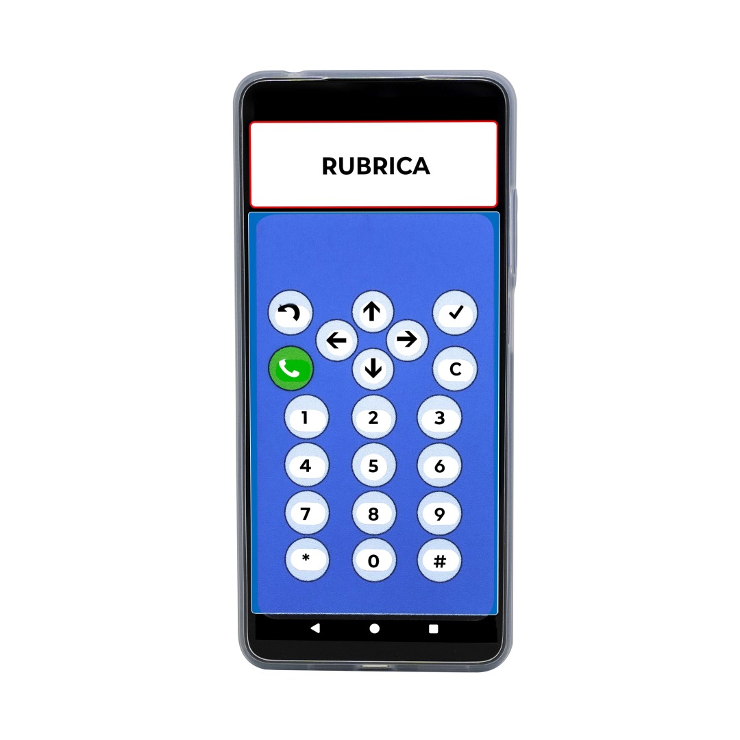 Audiophone - 22.24.03.006 - Telefono ad accesso facilitato