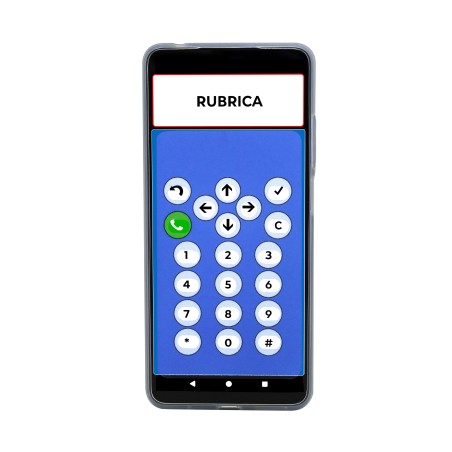 Audiophone - 22.24.03.006 - Telefono ad accesso facilitato