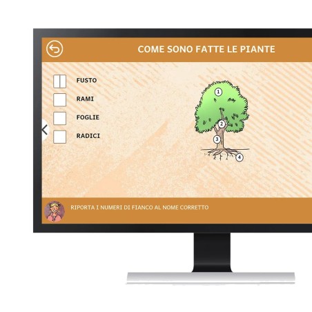 Gli essenziali - Primaria - Classe quarta (Web App)