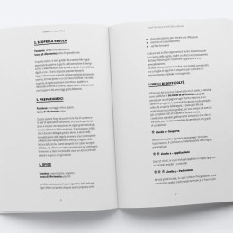 Grammatica tra le stelle (KIT: Web app + Guida)