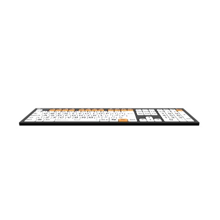 Tastiera per ipovedenti Slimline Accessibilità Windows